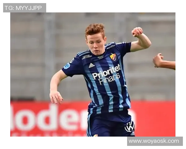 佐加顿斯与哈马比比赛地点揭秘及赛事前瞻分析