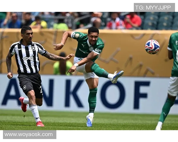 帕梅拉斯与博塔弗戈历史交锋数据分析与战绩回顾